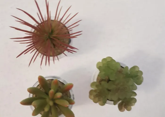 Apartment I Diamanti *